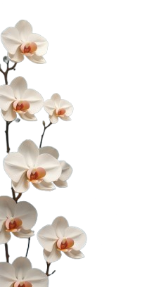 Decoration