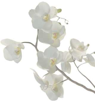 Decoration